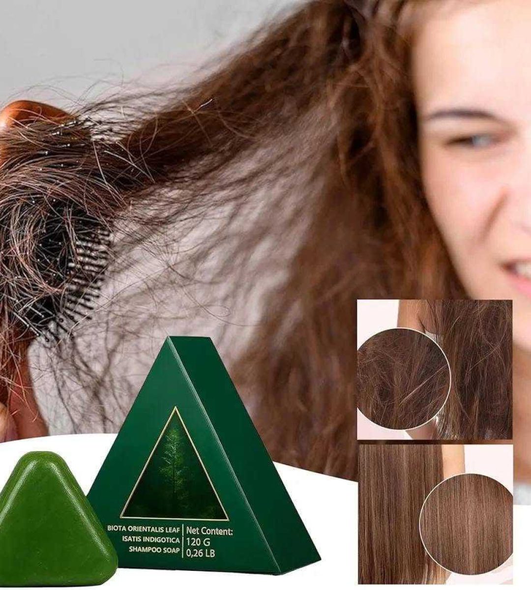 WhatsApp Image 2026-01-08 at 11.41.17 PM